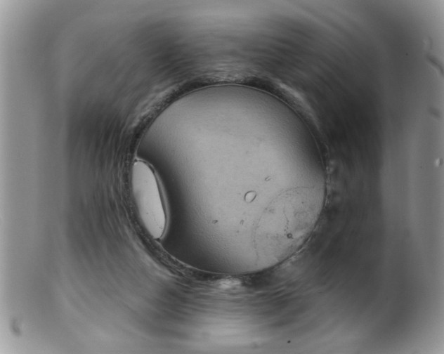 X0000099380162200805151627