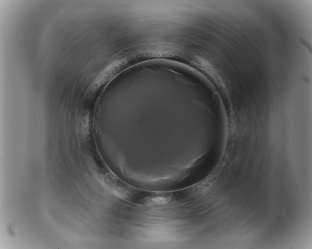 X0000099380163200805151627