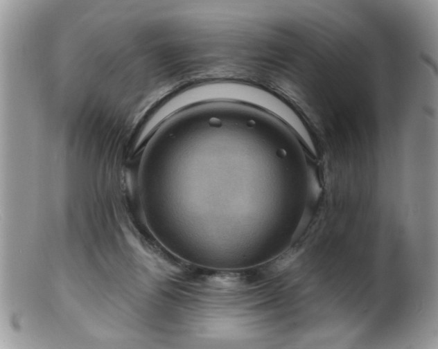 X0000099380164200805151627