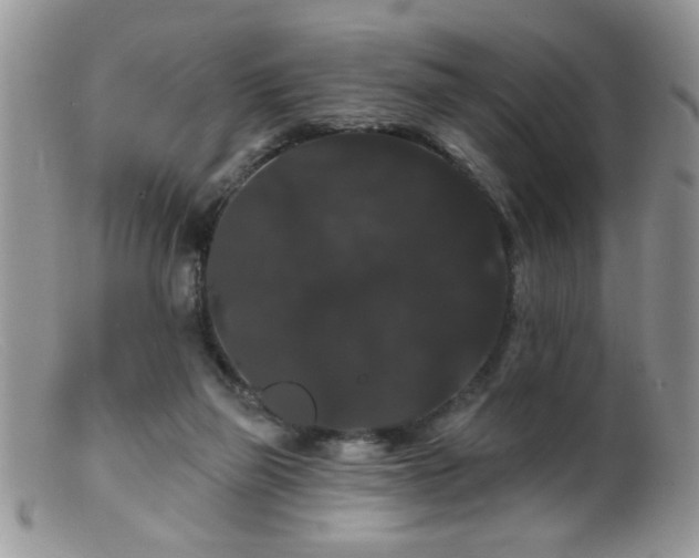 X0000099380165200805151627