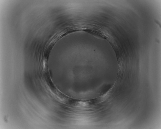 X0000099380166200805151627