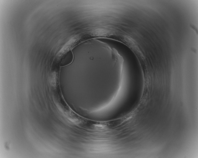 X0000099380167200805151627