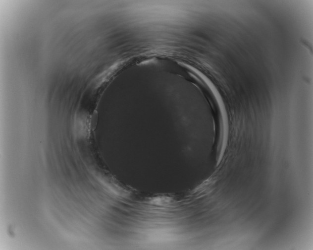 X0000099380168200805151627