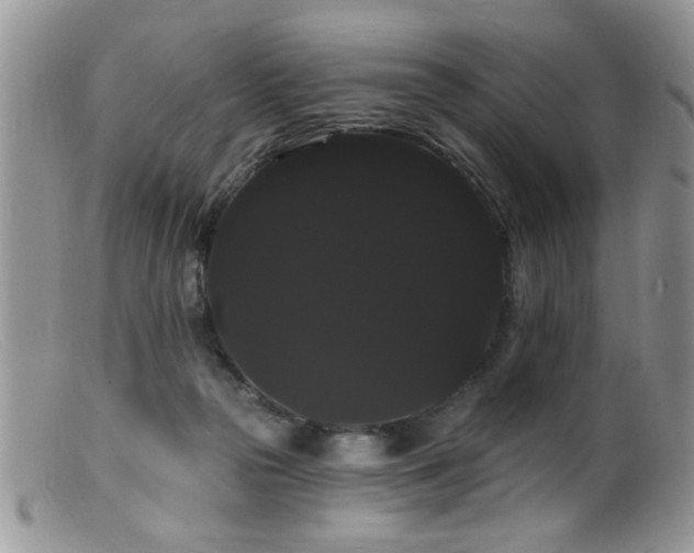 X0000099380169200805151627