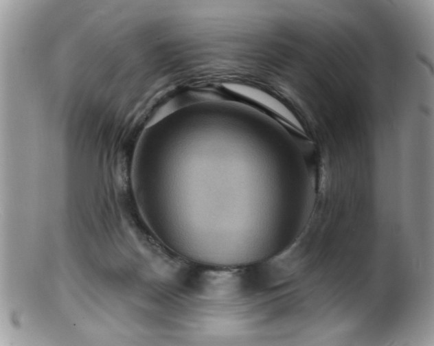 X0000099380170200805151627