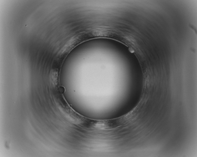 X0000099380171200805151627