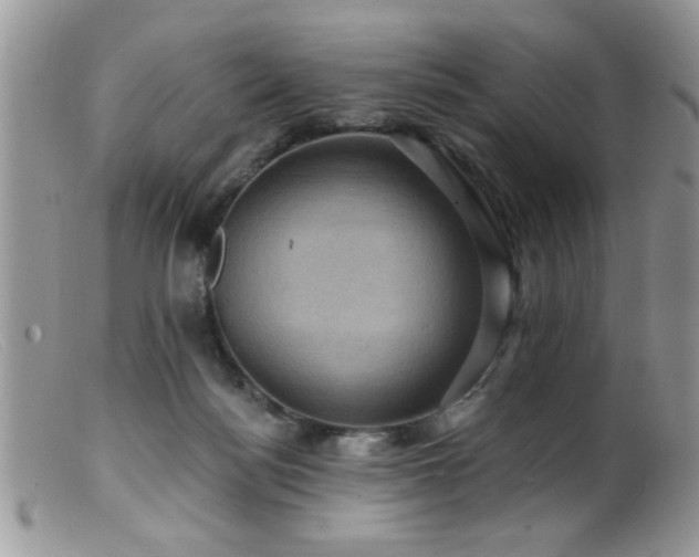 X0000099380172200805151627