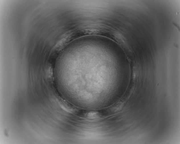 X0000099380173200805151627