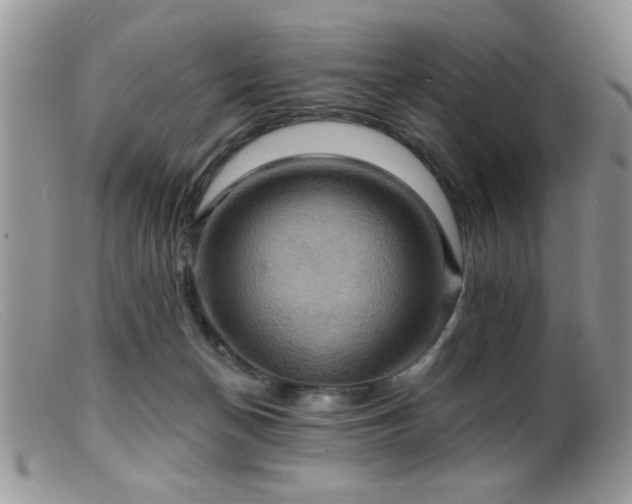 X0000099380174200805151627