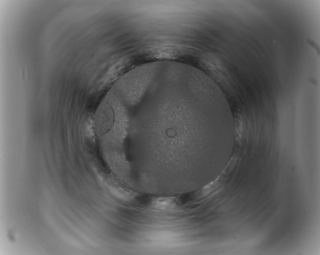 X0000099380175200805151627