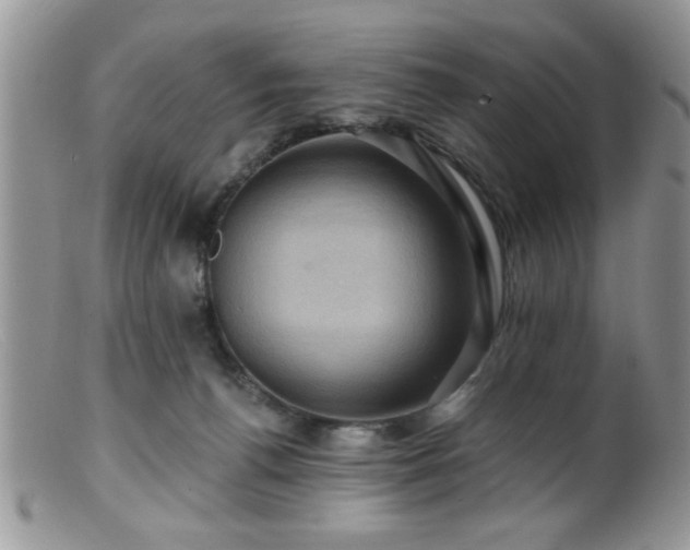 X0000099380176200805151627