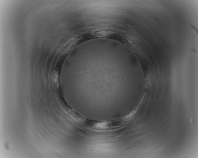 X0000099380178200805151627