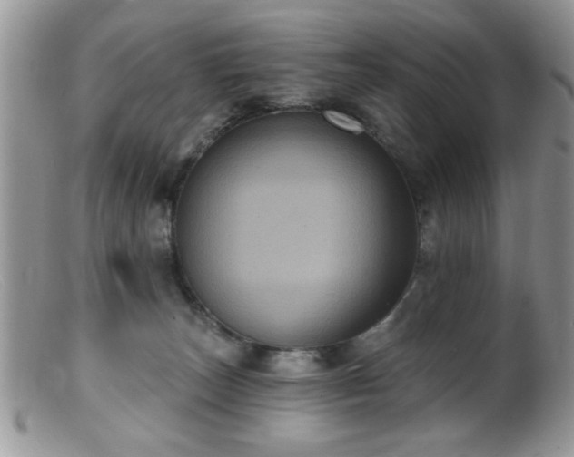 X0000099380179200805151627