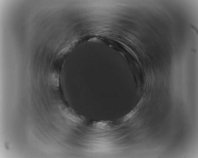 X0000099380180200805151627