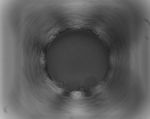 X0000099380181200805151627