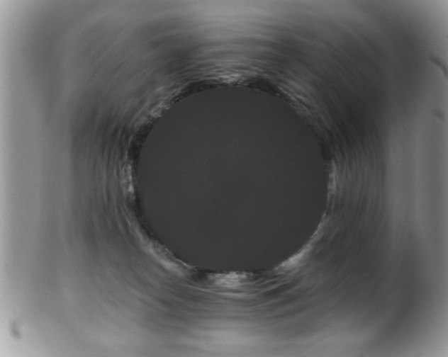 X0000099380182200805151627