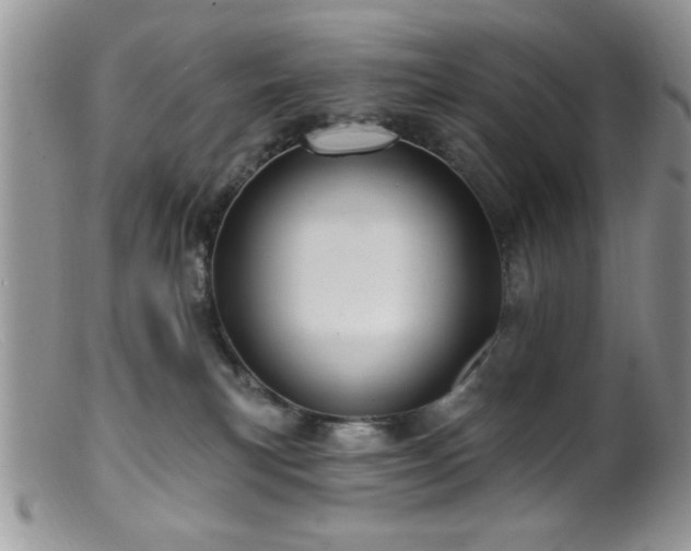 X0000099380183200805151627