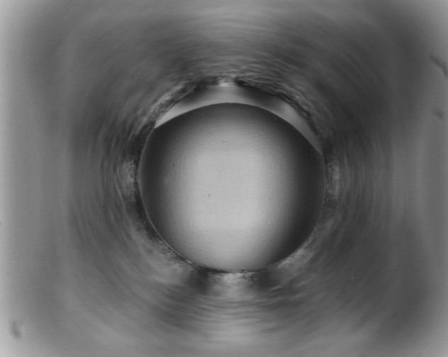 X0000099380184200805151627