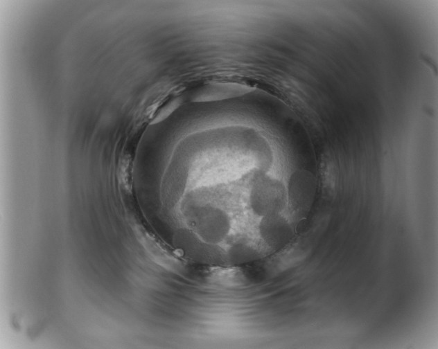 X0000099380185200805151627