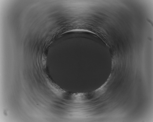 X0000099380186200805151627