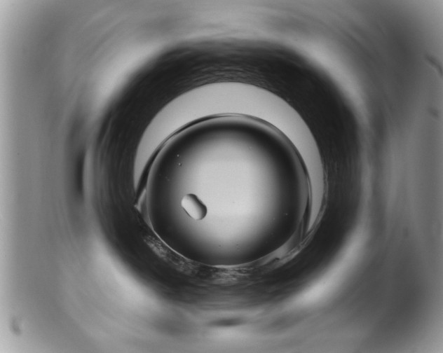 X0000099380190200805151627