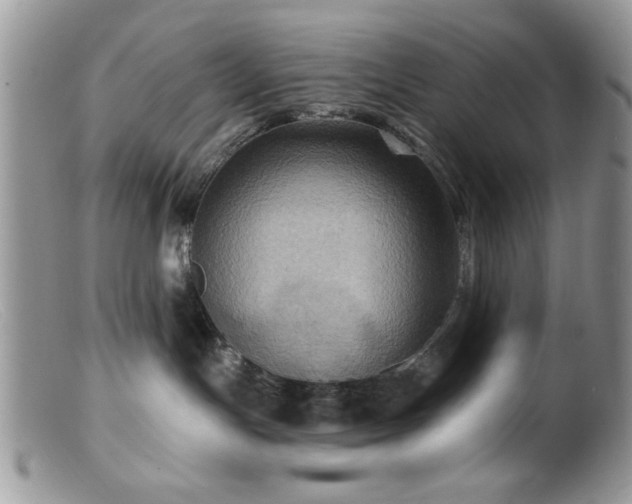 X0000099380191200805151627