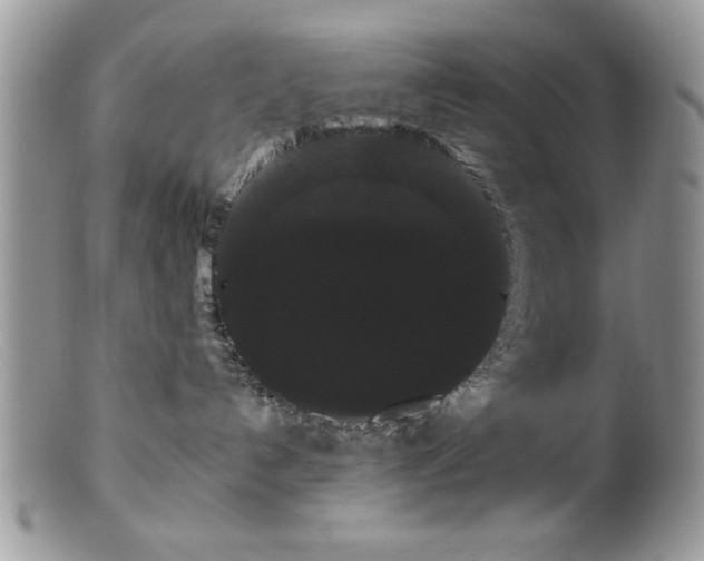 X0000099380192200805151627