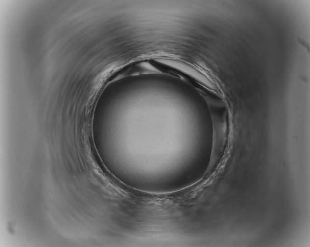 X0000099380193200805151627