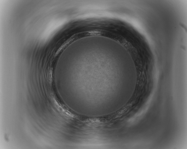 X0000099380194200805151627