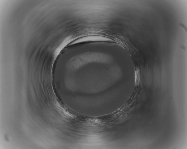 X0000099380195200805151626