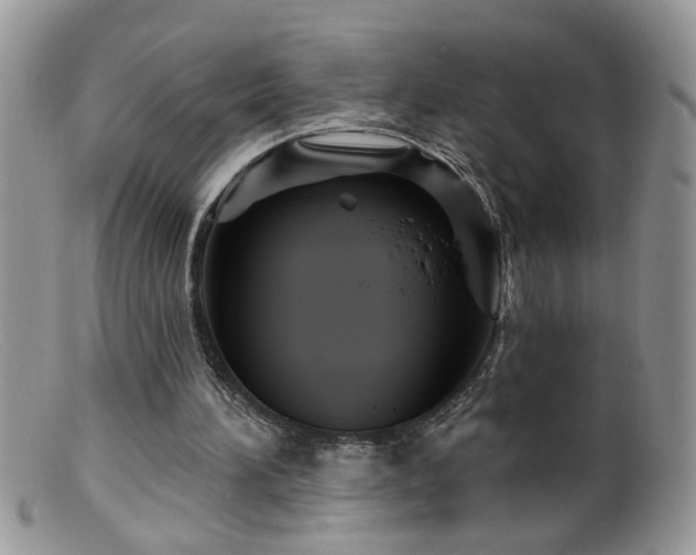 X0000099380196200805151626