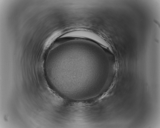 X0000099380197200805151626