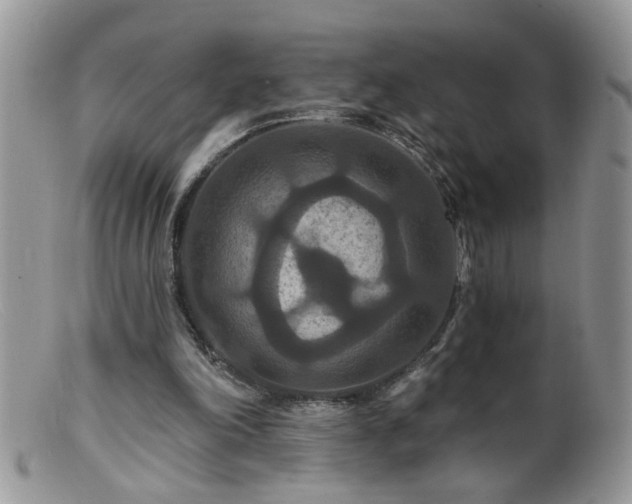 X0000099380198200805151626