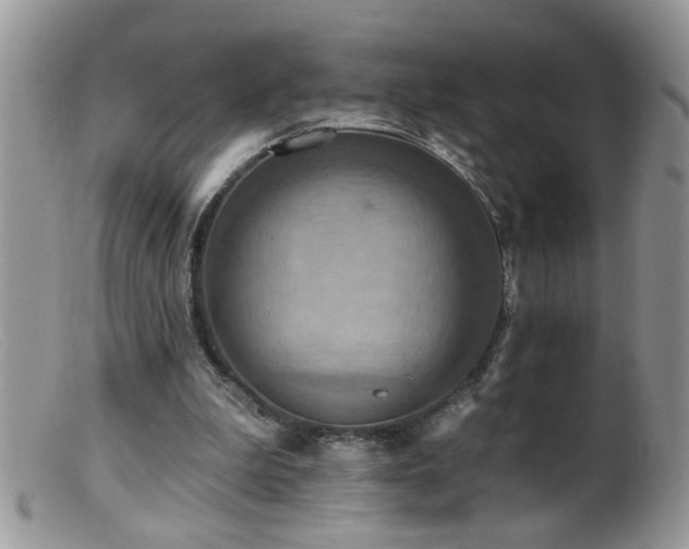 X0000099380199200805151626