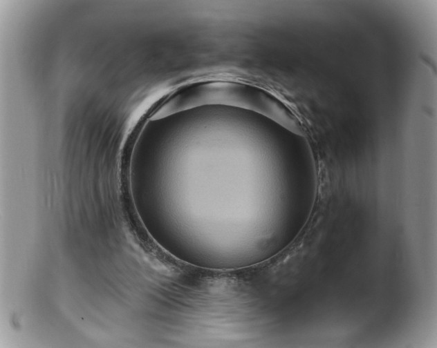 X0000099380200200805151626