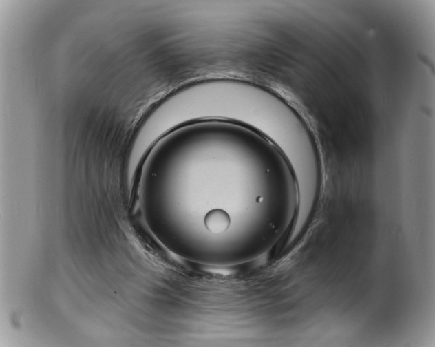 X0000099380201200805151626