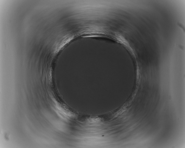 X0000099380202200805151626