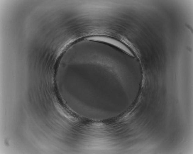 X0000099380203200805151626