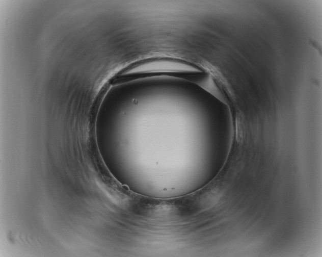 X0000099380204200805151626