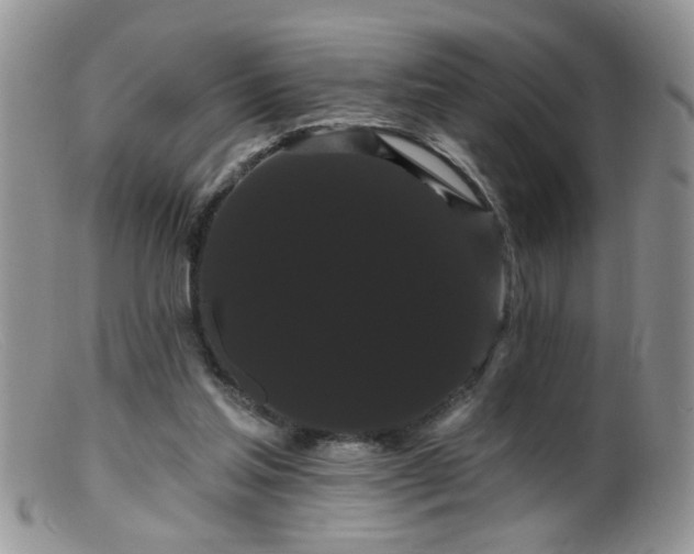 X0000099380205200805151626