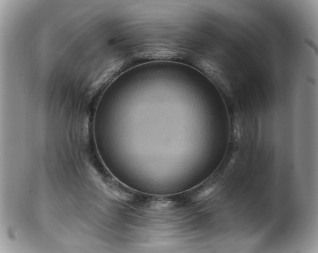 X0000099380206200805151626