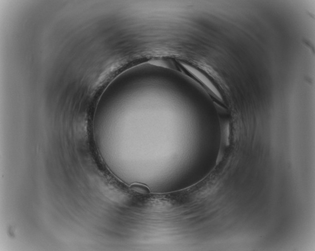 X0000099380207200805151626