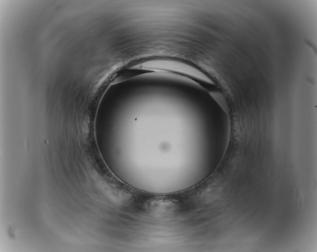 X0000099380208200805151626