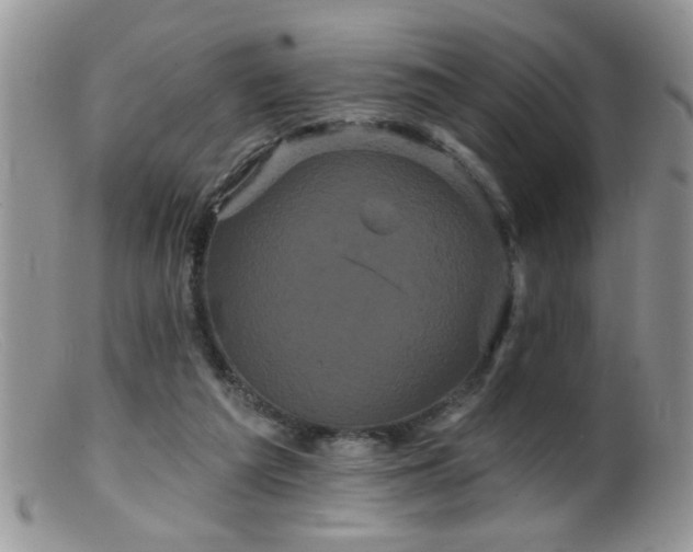 X0000099380209200805151626