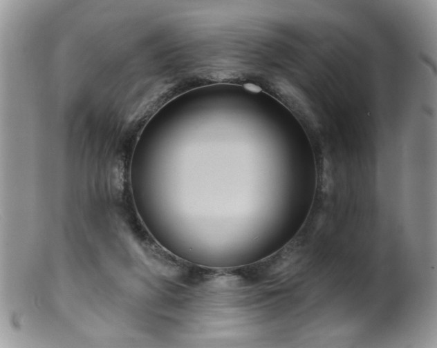 X0000099380210200805151626