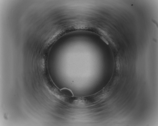 X0000099380211200805151626