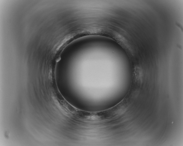 X0000099380212200805151626