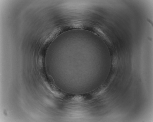 X0000099380213200805151626