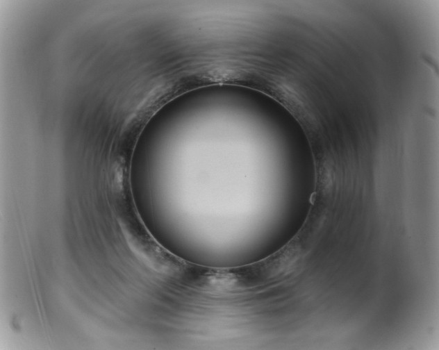 X0000099380214200805151626