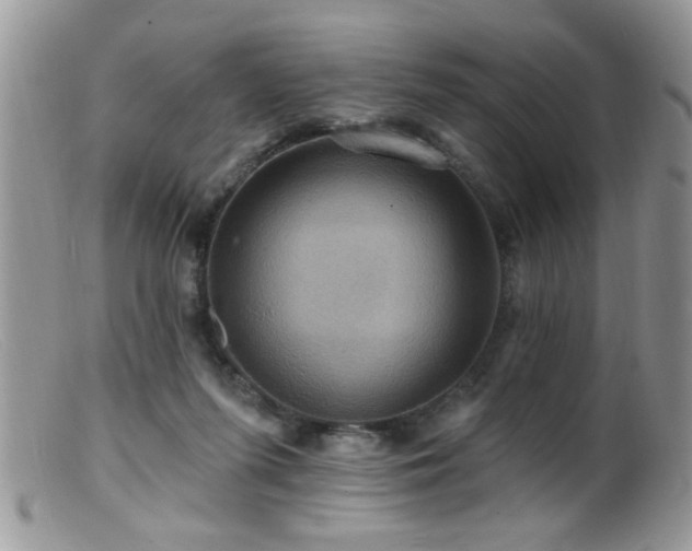 X0000099380215200805151626